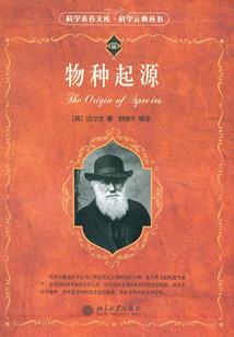 龙与剑士与魔法师