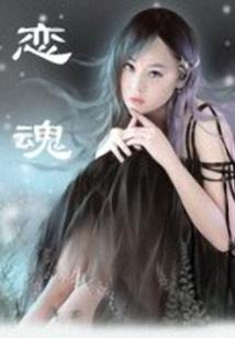 诺亚赛罗的赛尔号冒险