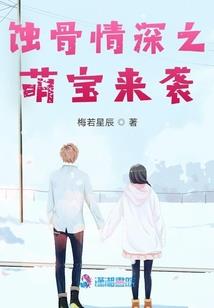 海贼王之乱入