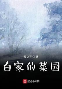 圣殒纪