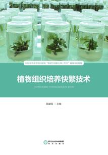 英雄，我想对你说