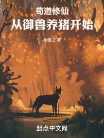 漂泊半生