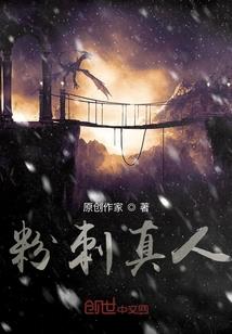 精灵世界的飞升者