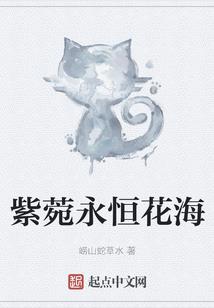 云殇的泪
