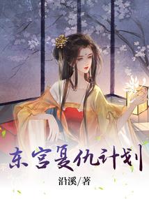 人间少帅