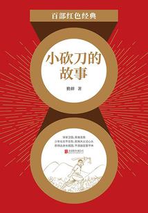 无敌极品天子
