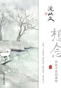 王者归来后传