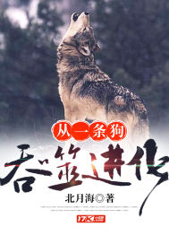 开局一枚建城令
